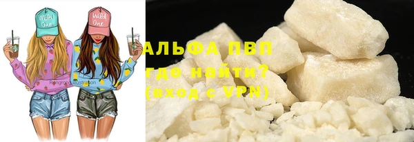 прущие грибы Наволоки