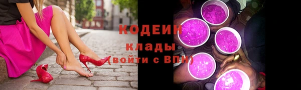 прущие грибы Наволоки