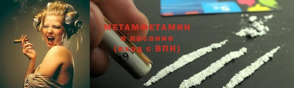 прущие грибы Наволоки