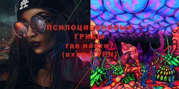 прущие грибы Наволоки