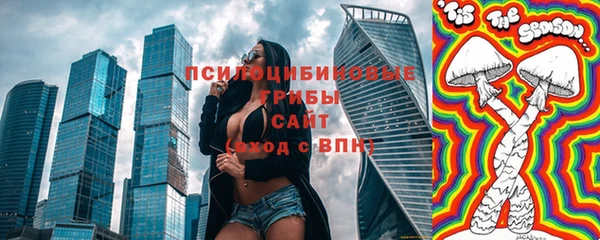 прущие грибы Наволоки