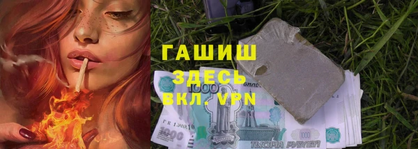 прущие грибы Наволоки