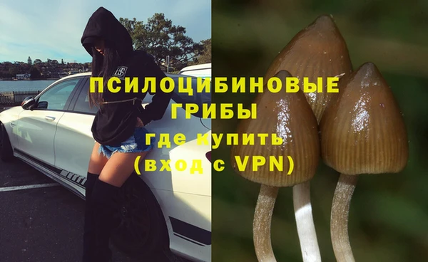 прущая мука Надым