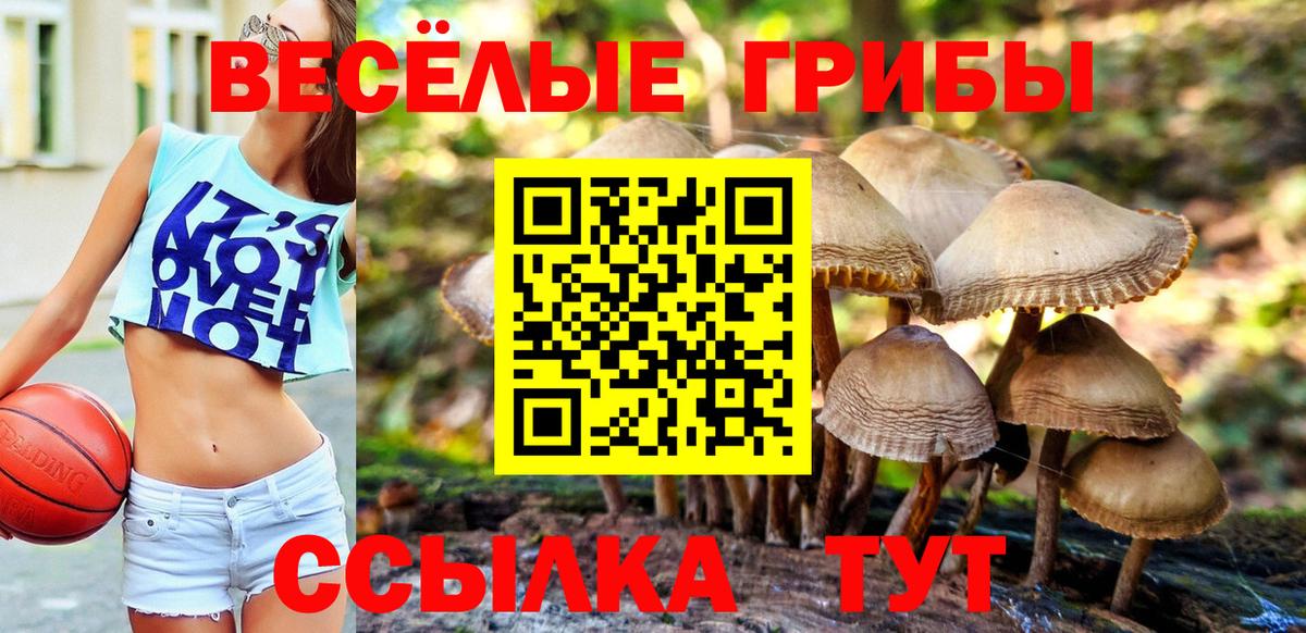 Нарткала  Псилоцибиновые грибы MAGIC MUSHROOMS  Галлюциногенные грибы мицелий  Вход с VPN 